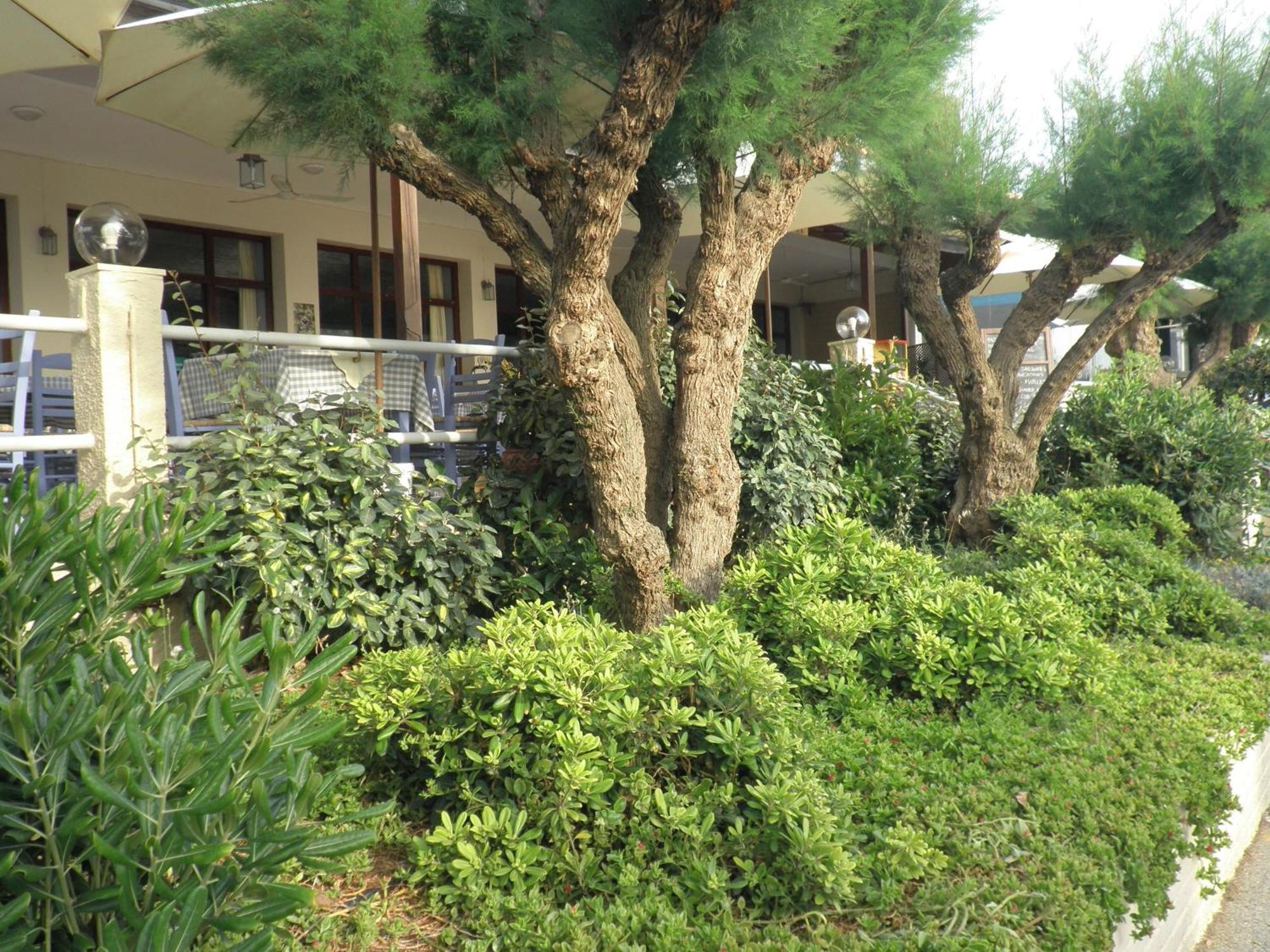 Akrogiali Kyparissia Ngoại thất bức ảnh